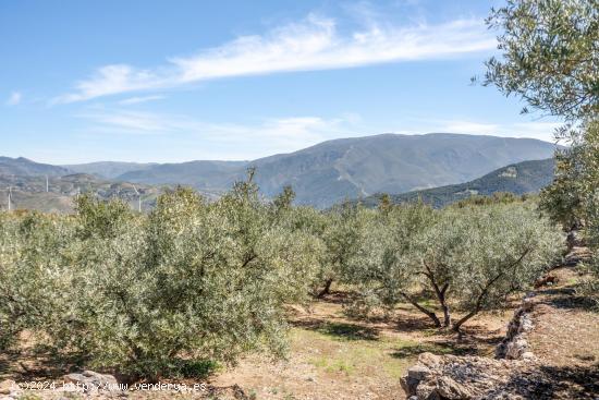 Finca urbanizable en un entorno incomparable Pinos del Valle - GRANADA