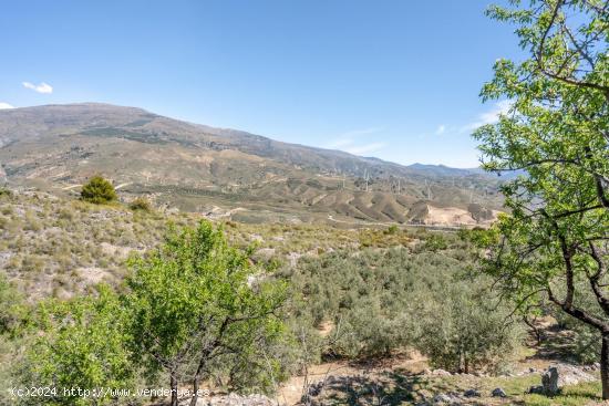 Finca urbanizable en un entorno incomparable Pinos del Valle - GRANADA