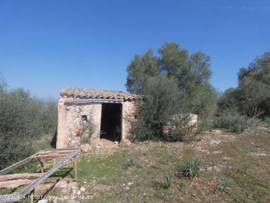 Se Vende en Costitx - BALEARES