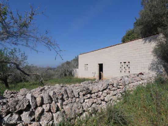 Se Vende en Costitx - BALEARES