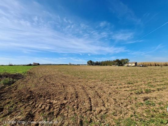 Se vende finca rústica edificable en la zona de Son Moix - BALEARES