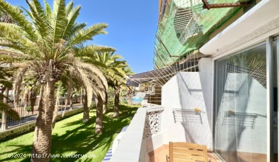 Apartamento en Venta en Arona Santa Cruz de Tenerife