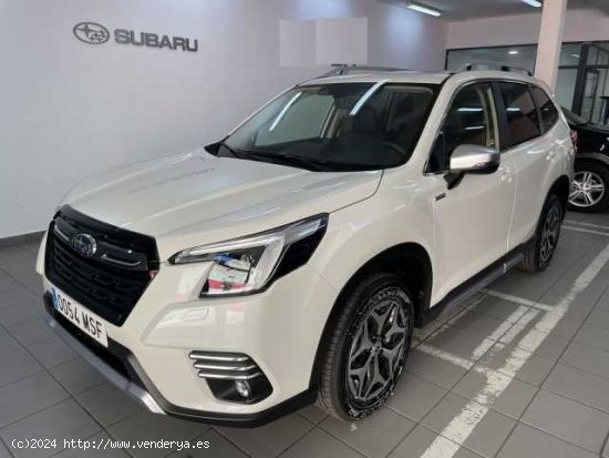 Subaru Forester Híbrido ( Forester 2.0i Hybrid Executive Plus CVT )  - Madrid