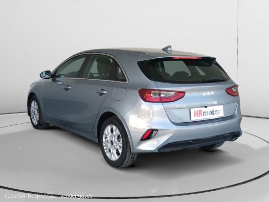 Kia Ceed Business - Fontellas