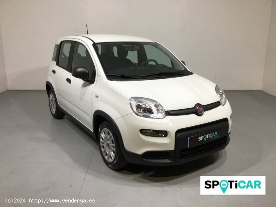 Fiat Panda  Panda 1.0 Hybrid 51kW (70cv) - - Barberà del Vallès