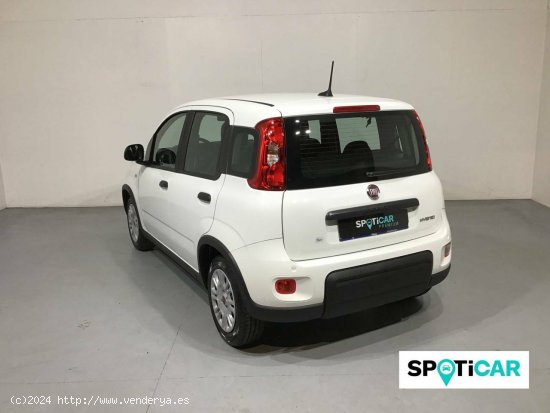 Fiat Panda  Panda 1.0 Hybrid 51kW (70cv) - - Barberà del Vallès