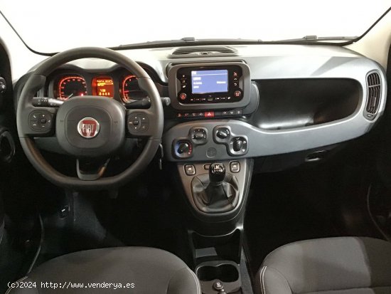 Fiat Panda  Panda 1.0 Hybrid 51kW (70cv) - - Barberà del Vallès