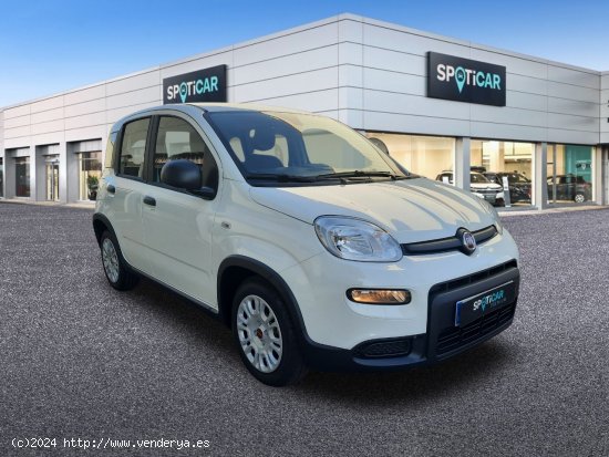 Fiat Panda  Panda Hybrid 1.0 51kw (70CV) - - Castelló