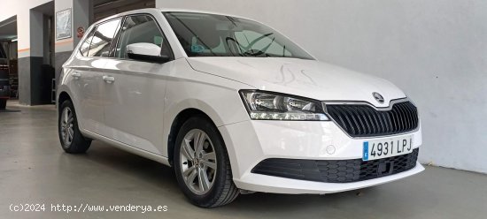 Skoda Fabia 1.0 TSI 70KW (95cv) Ambition Plus - Sant Celoni