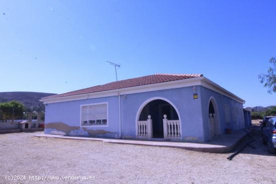 CHALET EN LA ROMANA - ALICANTE