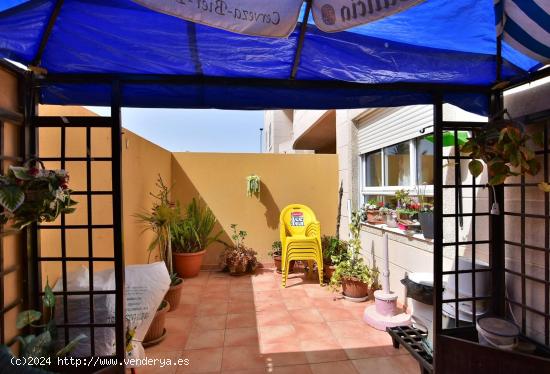 PLANTA BAJA EN VECINDARIO CENTRO - LAS PALMAS