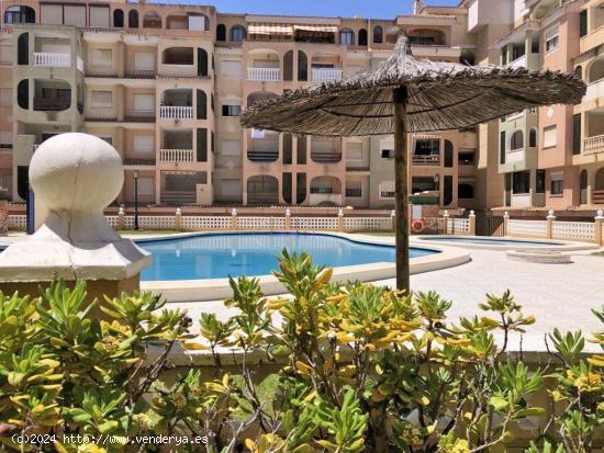  Venta de Apartamento en Jardín Botánico- Parque de las naciones con piscina - ALICANTE 