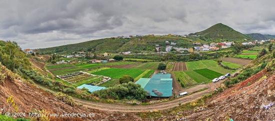 Finca rústica en producción, con agua y vivienda a reformar. - LAS PALMAS