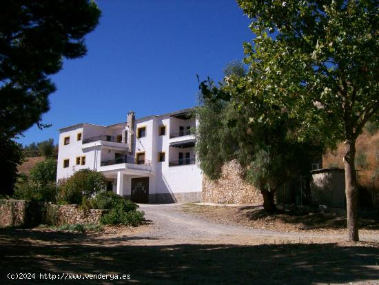 FINCAS EN LAROLES GRANDA  DOS FINCAS EXCLUSIVA FINCA ECOLOGICA CON BODEGA Y CASA RURALES - GRANADA