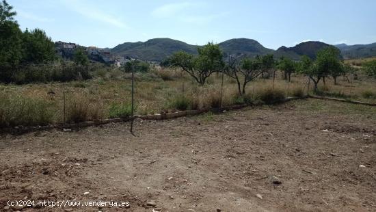 OLULA DEL RÍO ( ALMERÍA ). SOLAR URBANO. - ALMERIA