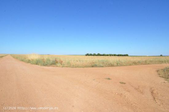 Urbis te ofrece un terreno en venta en Castellanos de Villiquera, Salamanca. - SALAMANCA