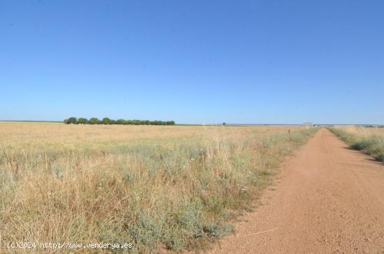 Urbis te ofrece un terreno en venta en Castellanos de Villiquera, Salamanca. - SALAMANCA