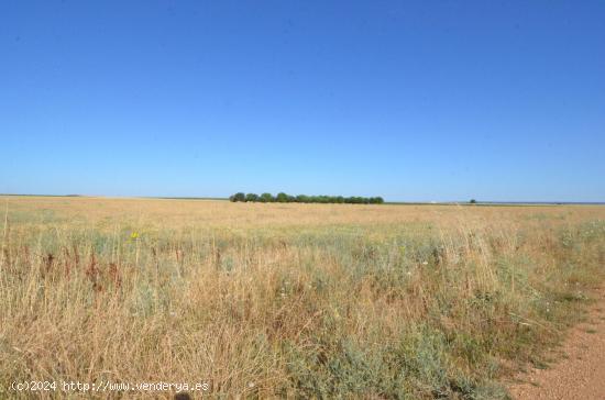 Urbis te ofrece un terreno en venta en Castellanos de Villiquera, Salamanca. - SALAMANCA