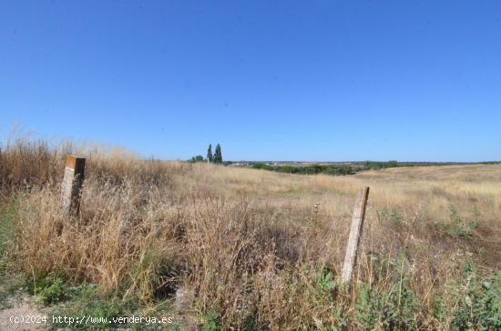  Urbis te ofrece un terreno en venta en Almenara de Tormes, Salamanca. - SALAMANCA 