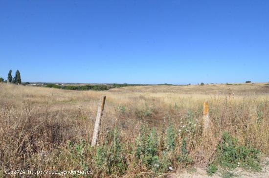 Urbis te ofrece un terreno en venta en Almenara de Tormes, Salamanca. - SALAMANCA