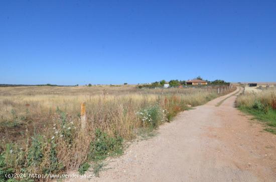 Urbis te ofrece un terreno en venta en Almenara de Tormes, Salamanca. - SALAMANCA