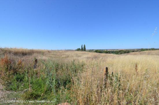 Urbis te ofrece un terreno en venta en Almenara de Tormes, Salamanca. - SALAMANCA