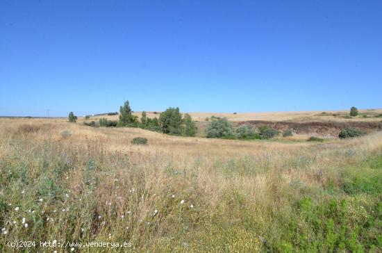 Urbis te ofrece un terreno en venta en Almenara de Tormes, Salamanca. - SALAMANCA