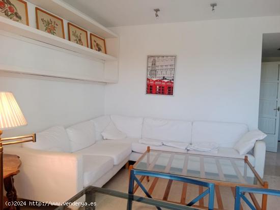 PLAZA RUIZ DE ALDA  Apartamento. - SEVILLA