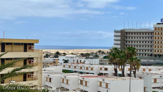 Apartamento Totalmente Reformado cerca del Mar - LAS PALMAS