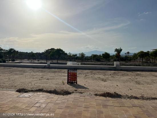 PARCELA 678421372 EN LA QUINTA 79900 EUROS - MURCIA