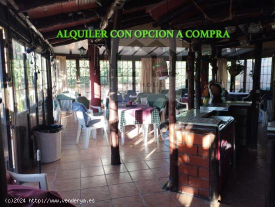 APIHOUSE ALQUILA CON OPCION A COMPRA RESTAURANTE Y VIVIENDA EN TORREVIEJA. PRECIO INICIAL 485.000€