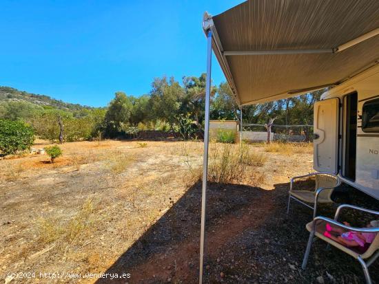 Idílica finca con caravana a estrenar, en la mejor zona de Llucmajor. - BALEARES