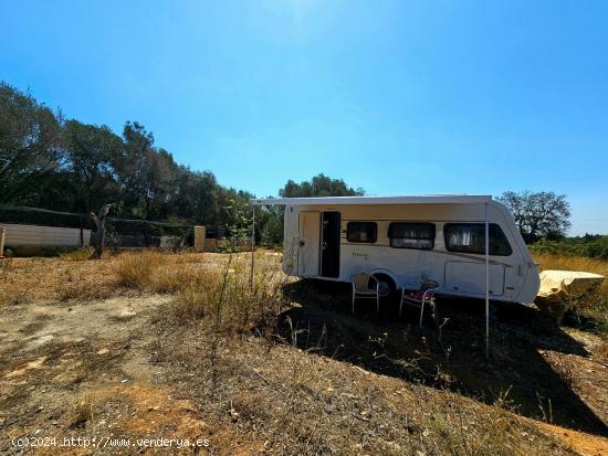 Idílica finca con caravana a estrenar, en la mejor zona de Llucmajor. - BALEARES