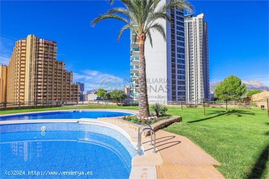 Lujoso Apartamento con gran terraza con vistas al mar frontales en rascacielo en Benidorm - ALICANTE