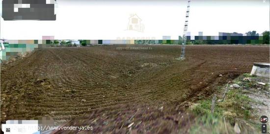  ZONA CARRETERA DEL AEROPUERTO - Parcela de terreno de 39.300 m de tipo agrícola - CORDOBA 