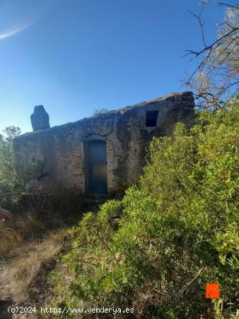 FINCA RUSTICA EN ULLDECONA + UNA SEGONA FINACA COLINDANT  QUE LES DOS SON 25.000€ - TARRAGONA