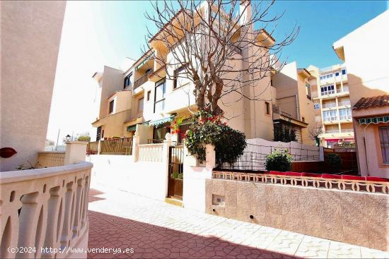  Bungalow adosado en Guardamar del Segura, Alicante, Costa Blanca - ALICANTE 