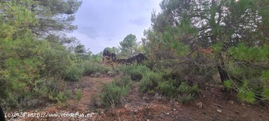 Se Vende en Molinicos - ALBACETE