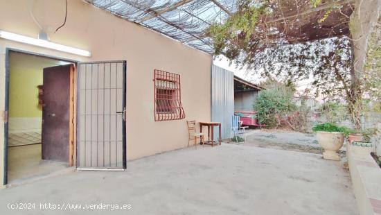 FINCA RUSTICA CON CASITA EN NIJAR - ALMERIA