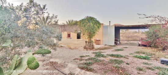 FINCA RUSTICA CON CASITA EN NIJAR - ALMERIA