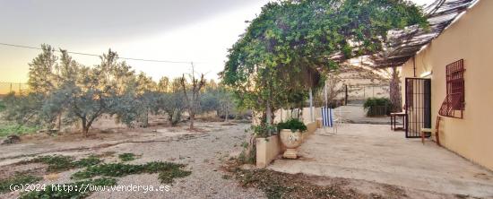 FINCA RUSTICA CON CASITA EN NIJAR - ALMERIA