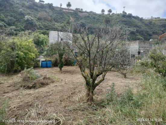  Se Vende en Santa Brigida - LAS PALMAS 