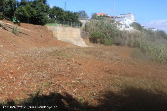 Se Vende en Vega de San Mateo - LAS PALMAS