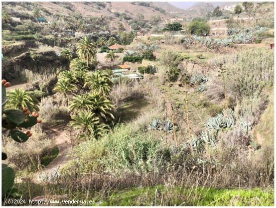 Se Vende en Valsequillo de Gran Canaria - LAS PALMAS