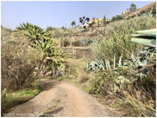 Se Vende en Valsequillo de Gran Canaria - LAS PALMAS