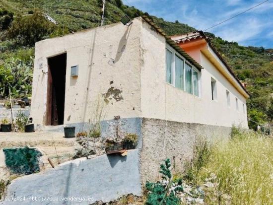 Se Vende en Vega de San Mateo - LAS PALMAS