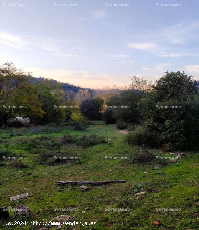 SE VENDE FINCA RÚSTICA EN VENTA EN GALAROZA (HUELVA) ESPAÑA. - Galaroza