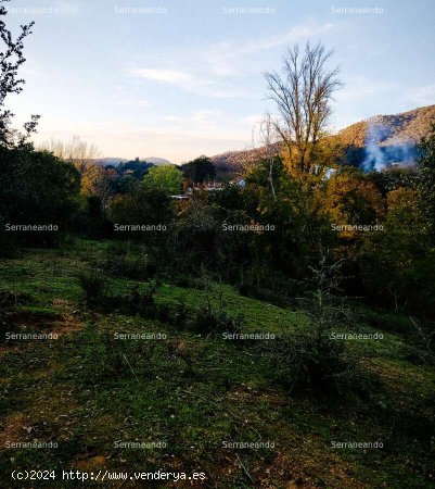 SE VENDE FINCA RÚSTICA EN VENTA EN GALAROZA (HUELVA) ESPAÑA. - Galaroza