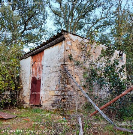 SE VENDE FINCA RÚSTICA EN VENTA EN GALAROZA (HUELVA) ESPAÑA. - Galaroza