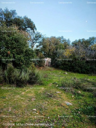 SE VENDE FINCA RÚSTICA EN VENTA EN GALAROZA (HUELVA) ESPAÑA. - Galaroza